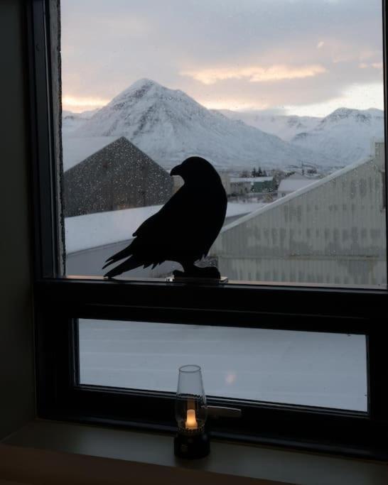 شقة Scenic Penthouse - Ocean View & Skylight Windows Siglufjordur المظهر الخارجي الصورة